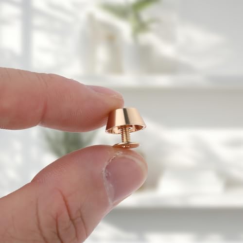26Pcs Handbag Purse Feet Handbag Feet Nailhead Brass Studs Screw-Back Feet Flat Head Stud Metal Studs Rivet Leather Craft DIY for DIY Purse Handbag Leather Craft