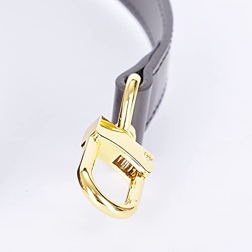Genuine Vachetta Leather Crossbody Replacement Straps for Purses Shoulder Bags (1"W Yellow-Silver Locks) (Coffee) - color: Coffee