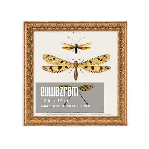 Ornate Classic Gold 12x12 Picture Frame with Raised Leaf Border | 12x12 picture frame for family photos and art prints; ornate gold finish creates a refined focal point. - color: Gold, size: 12 x 12 in