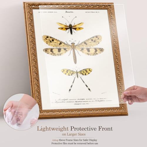 Ornate Classic Gold 18x24 Picture Frame with Raised Leaf Border | 18x24 poster frame for photography and art prints; ornate gold finish creates a refined focal point. - color: Gold, size: 18 x 24 in