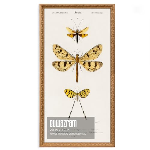 Ornate Classic Gold 20x40 Picture Frame with Raised Leaf Border | 20x40 panoramic picture frame for landscapes and travel photos; ornate gold finish creates a refined focal point. - color: Gold, size: 20 x 40 in