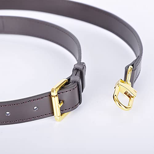 Genuine Vachetta Leather Crossbody Replacement Straps for Purses Shoulder Bags (1"W Yellow-Silver Locks) (Coffee) - color: Coffee