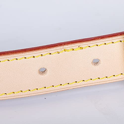 VanEnjoy Genuine Vachetta Leather Crossbody Replacement Straps for Purses Shoulder Bags (1" W Yellow) - color: 1"w Adjustable