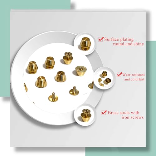 Honigo 4 Pack Gold Rivets Stud Handbag Purse Feet 3/8 inch Flat Head Metal Solid Brass Studs Screw Back Feet 10mm Buckle Spikes Leathercraft for Leather Bag Totes DIY - color: Gold, size: Flat Head 10mm-Gold 4 Pack