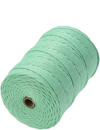 Macrame Cord 3mm x 328yards, Soft Colored Macrame Rope, Natural Cotton Cord for Plant Hangers, Wall Hanger, Decorative Projects(Aqua Green) - color: Aqua Green, size: 3mm×328Yards