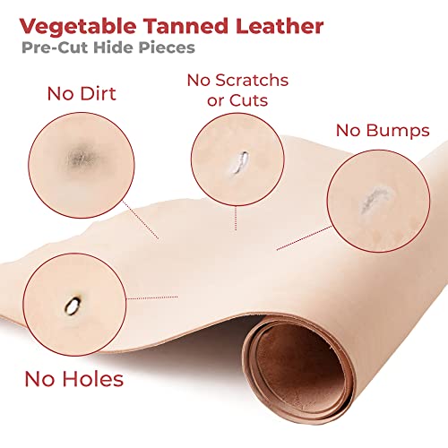 ELW Vegetable Tanned Leather 8-9 Oz. (3.2-3.6mm) Thickness | Pre-Cut 6"x60" | Tooling Leather Cowhide - Full Grain Leather Good for Crafting, Saddlery, Home Decor, Holsters, Knife Sheaths - size: 6"x60"