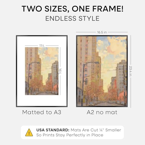 Homeforia A2 Black Picture Frame, High-End Metal, A3 Mat, Glass | High End Aluminum, Tempered Glass, Acid-Free A3 Removable Mat, A2 Edge-to-Edge Display, Wall Kit, Set Of 1 - color: Carbon Black, size: A2