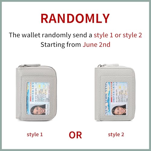 RNIEGA Credit Card Holder Wallet RFID Blocking Leather Small Wallet for Women Double Zipper Wallet with ID Window - color: A-Grey