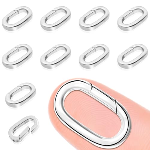10PCS Oval Clasp Carabiner Necklace Connector Stainless Steel Spring Clasps Bracelet Closures Keychain Lock Clasps Necklaces Clips Key Ring Bracelets Shortener for Jewelry Finding DIY Making Kit (A12) - color: 10PCS - Silver, size: X-Large (0.88*0.51in /