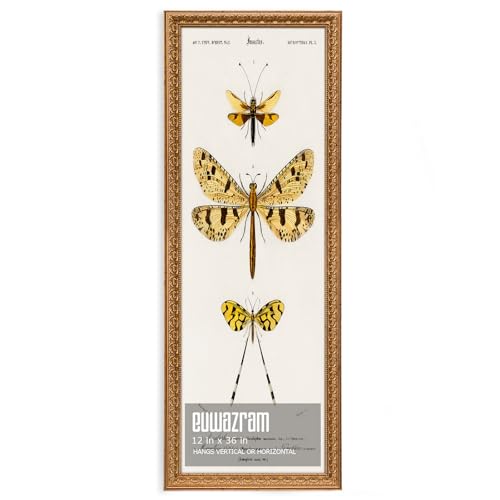 Ornate Classic Gold 12x36 Picture Frame with Raised Leaf Border | 12x36 panoramic picture frame for landscapes and travel photos; ornate gold finish creates a refined focal point. - color: Gold, size: 12 x 36 in