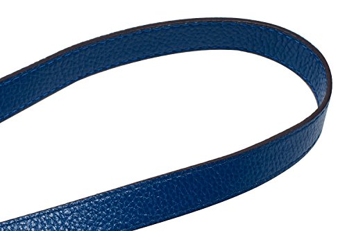 VanEnjoy Full Grain Leather Replacement Strap Shoulder Bag Purse, 0.98 inch Width Gold Hardware (Blue, Length:24") - color: Blue, size: 26 inches