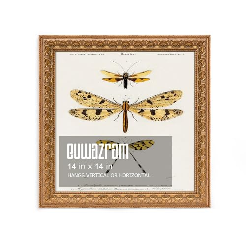 Ornate Classic Gold 14x14 Picture Frame with Raised Leaf Border | 14x14 picture frame for family photos and art prints; ornate gold finish creates a refined focal point. - color: Gold, size: 14 x 14 in