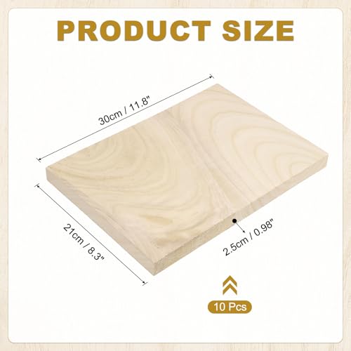 PATIKIL Wood Breaking Board Karate Martial Arts Boards Wooden Kick Board Training Accessory for Adult Taekwondo Punching Karate Practice Performing - size: 2.5mm