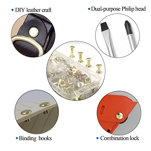 110 Sets Gold Chicago Screws Leather Assorted Kit, 8 Sizes of Screw Rivets for DIY Leather Craft and Bookbinding (M5 X 4,5,6,8,10,12,15,18) - color: Gold, size: M5*4.5.6.8.10.12.15.18mm