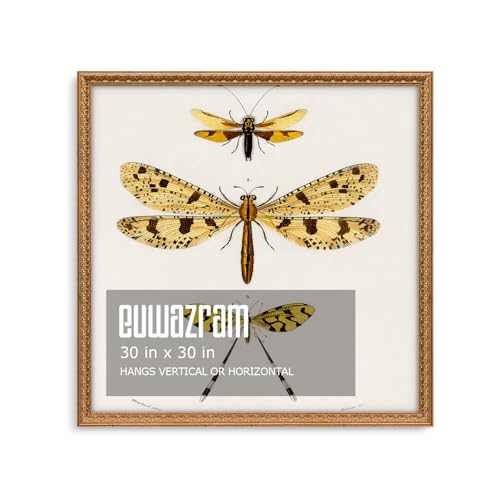 Ornate Classic Gold 30x30 Picture Frame with Raised Leaf Border | 30x30 picture frame for family photos and art prints; ornate gold finish creates a refined focal point. - color: Gold, size: 30 x 30 in
