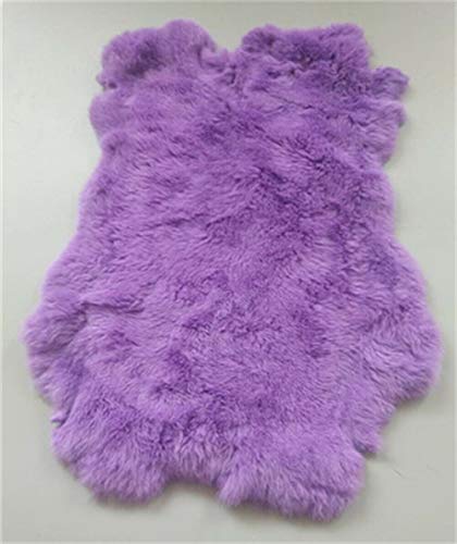 1x Skin of Rabbit Hide Skin Scrap Dyed Tanned Hide - 10" by 12" Fur Pelt with Sewing Quality Leather (Light Purple) - color: Light Purple