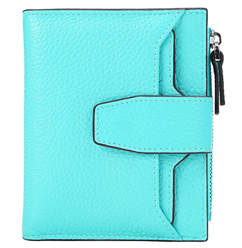 Women's RFID Blocking Leather Small Compact Bi-fold Zipper Pocket Wallet Card Case Purse with id Window - color: Lichee Sea Blue