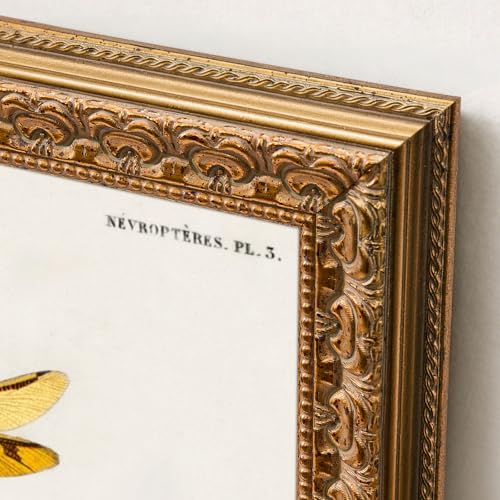 Ornate Classic Gold 12x36 Picture Frame with Raised Leaf Border | 12x36 panoramic picture frame for landscapes and travel photos; ornate gold finish creates a refined focal point. - color: Gold, size: 12 x 36 in
