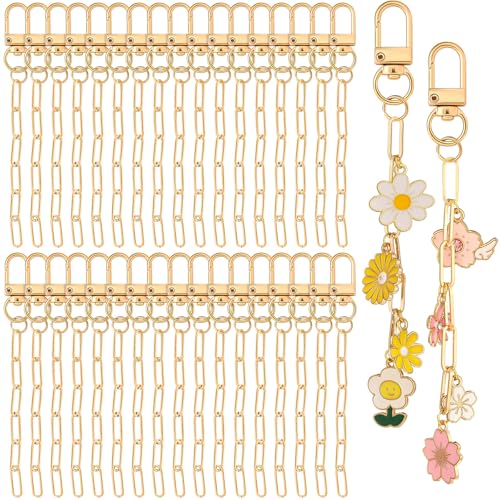 Liliaafar 100 Set Keychain Making Kit Metal Keychain Clips with Key Ring Swivel Snap Hook Lobster Claw Clasps and Extender Chain Bulk for DIY Craft Supplies Jewelry Bags Accessories Gift (Gold) - color: Gold