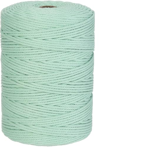 Aelfon Macrame Cord 3mm x 328yards Natural Cotton Cord Colored Macrame Rope Macrame Supplies Macrame Cotton Rope Soft Craft Rope Macrame Yarn for Plant Hanger Wall Hanger Dreamcatcher(Mint) - color: Mint, size: 3mm×328Yards