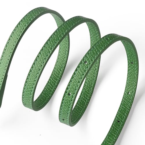 Purse Straps Replacement, Leather Handbag Crossbody Shoulder Strap Kit Adjustable for Mini Longcamp Tote Bag Women - color: LightGreen