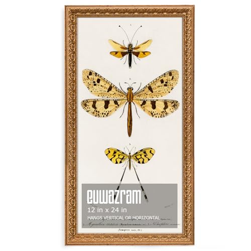 Ornate Classic Gold 12x24 Picture Frame with Raised Leaf Border | 12x24 panoramic picture frame for landscapes and travel photos; ornate gold finish creates a refined focal point. - color: Gold, size: 12 x 24 in