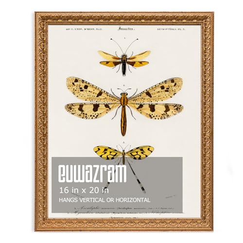 Ornate Classic Gold 16x20 Picture Frame with Raised Leaf Border | 16x20 poster frame for photography and art prints; ornate gold finish creates a refined focal point. - color: Gold, size: 16 x 20 in