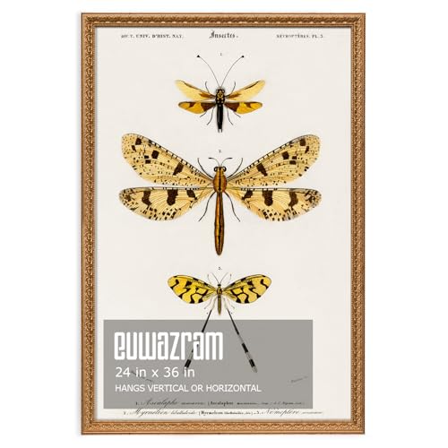 Ornate Classic Gold 24x36 Picture Frame with Raised Leaf Border | 24x36 poster frame for photography and art prints; ornate gold finish creates a refined focal point. - color: Gold, size: 24 x 36 in