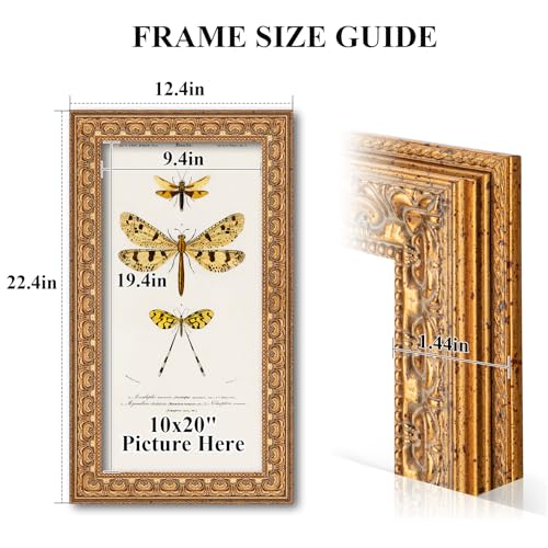 Ornate Classic Gold 10x20 Picture Frame with Raised Leaf Border | 10x20 panoramic picture frame for landscapes and travel photos; ornate gold finish creates a refined focal point. - color: Gold, size: 10 x 20 in