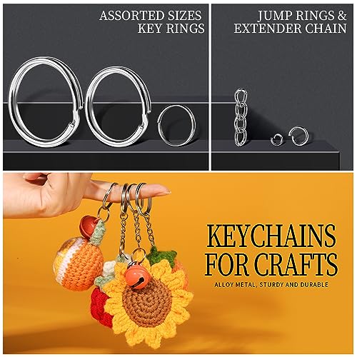 LEOBRO Keychain Making Kit, 265PCS Keychains Clips and Key Rings, Well Crafted Sturdy Key Chain Making Kit, Key Chain Rings, Keychains Hooks, for Key Chains, Lanyard, Jewelry Making, Crafts, Silver - color: A-Silver