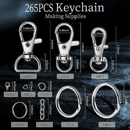 LEOBRO Keychain Making Kit, 265PCS Keychains Clips and Key Rings, Well Crafted Sturdy Key Chain Making Kit, Key Chain Rings, Keychains Hooks, for Key Chains, Lanyard, Jewelry Making, Crafts, Silver - color: A-Silver