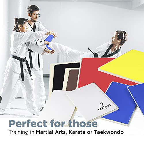 Logest Rebreakable Boards Martial Arts - Taekwondo Karate MMA Boards - Reusable Plastic Training Breaking Boards for Kids & Adults Available in 6 Levels of Difficulty Taekwondo Boards for Breaking - color: Red - Heavy