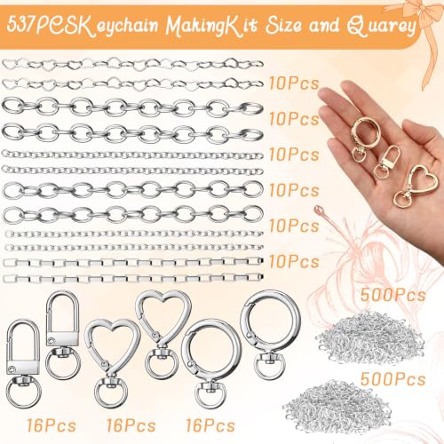 Liliaafar 48 Set Keychain Making Kit Gold Silver Metal Keychain Clips with Key Ring Swivel Snap Hook Lobster Claw Clasps Extender Chain Bulk for DIY Craft Lip Gloss Bag Accessories Gift (Silver) - color: Silver