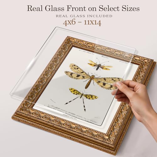 Ornate Classic Gold 12x12 Picture Frame with Raised Leaf Border | 12x12 picture frame for family photos and art prints; ornate gold finish creates a refined focal point. - color: Gold, size: 12 x 12 in