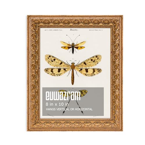 Ornate Classic Gold 8x10 Picture Frame with Raised Leaf Border | 8x10 picture frame for family photos and art prints; ornate gold finish creates a refined focal point. - color: Gold, size: 8 x 10 in