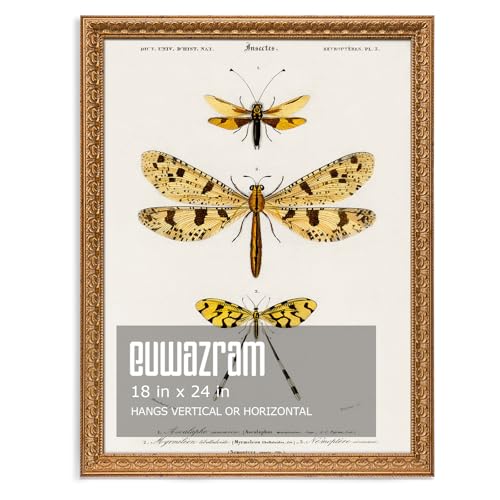 Ornate Classic Gold 18x24 Picture Frame with Raised Leaf Border | 18x24 poster frame for photography and art prints; ornate gold finish creates a refined focal point. - color: Gold, size: 18 x 24 in