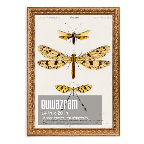 Ornate Classic Gold 14x20 Picture Frame with Raised Leaf Border | 14x20 poster frame for photography and art prints; ornate gold finish creates a refined focal point. - color: Gold, size: 14 x 20 in