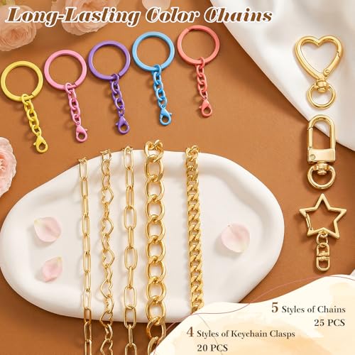 Ecoofor 364 Pcs Keychain Making Kit for Kids & Adults – Includes 20 Keychain Clips, 25 Extender Chains, 136 Charms, Beading Accessories, Jewelry Pliers – DIY Bag Charms & Jewelry Craft Kit Supplies - color: Gold-364Pcs Kit