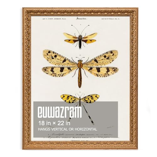 Ornate Classic Gold 18x22 Picture Frame with Raised Leaf Border | 18x22 poster frame for photography and art prints; ornate gold finish creates a refined focal point. - color: Gold, size: 18 x 22 in