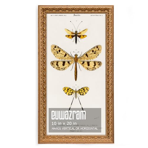Ornate Classic Gold 10x20 Picture Frame with Raised Leaf Border | 10x20 panoramic picture frame for landscapes and travel photos; ornate gold finish creates a refined focal point. - color: Gold, size: 10 x 20 in
