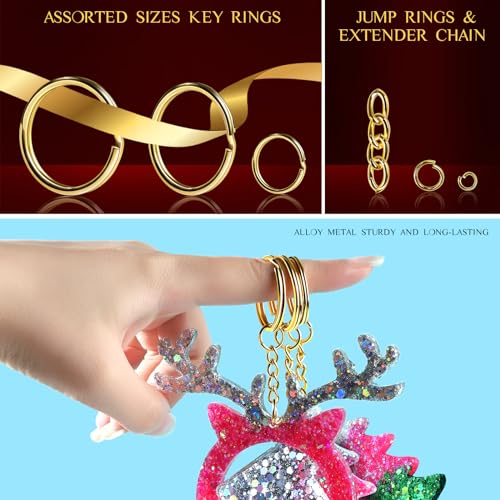 LEOBRO Keychain Making Kit, 265PCS Keychains Clips and Key Rings, Metal Lobster Claw Clasps and Key Chain Rings, Key Rings Bulk, Keychain Rings, Clip for Key Chains, Jewelry Making, Crafts, Gold - color: B-Gold