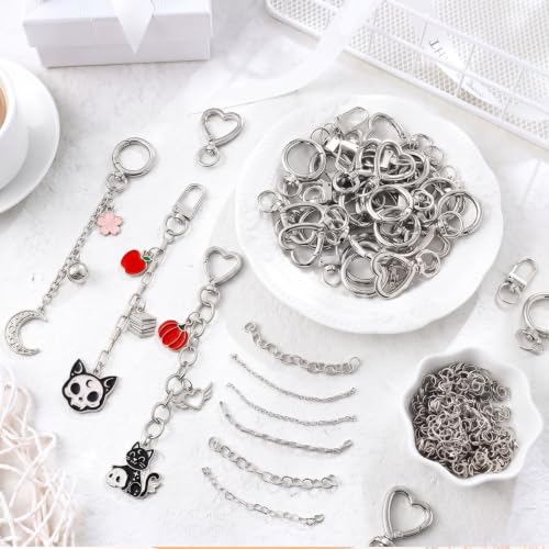 Liliaafar 48 Set Keychain Making Kit Gold Silver Metal Keychain Clips with Key Ring Swivel Snap Hook Lobster Claw Clasps Extender Chain Bulk for DIY Craft Lip Gloss Bag Accessories Gift (Silver) - color: Silver