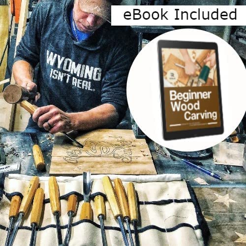 Schaaf Wood Carving Tools 12-pc Wood Chisel Set with Gouges, Hand Sharpened | Professionally sharpened carving chisels for beginners, sculpture and relief carving, ergonomic handles, tutorials included - color: Professionally Sharpened 12 Piece Set
